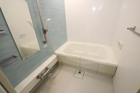 サンセベリア幸