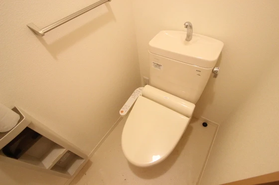 サンセベリア幸