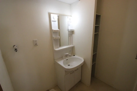 サンセベリア幸