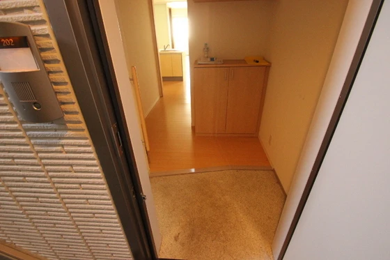 サンセベリア幸