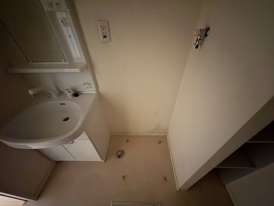 サンセベリア幸