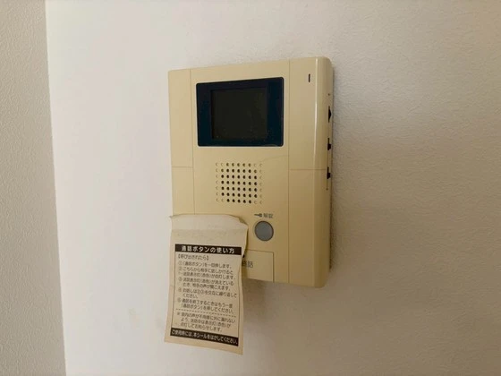 サンセベリア幸