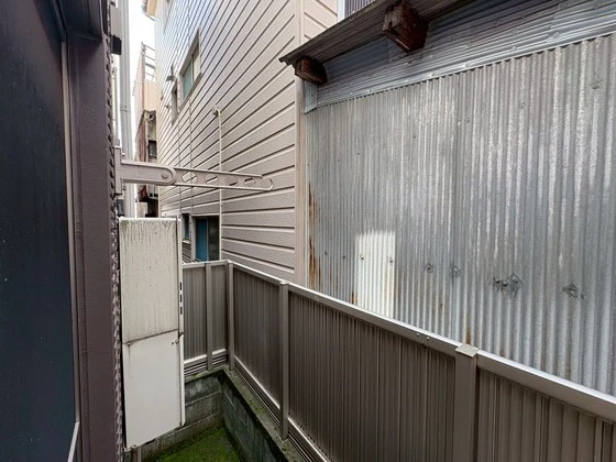 サンセベリア幸