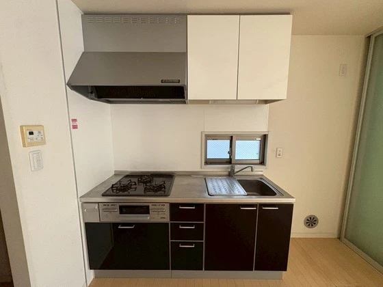 サンセベリア幸