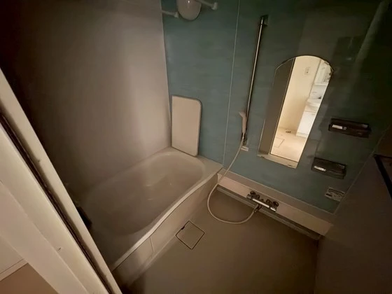 サンセベリア幸