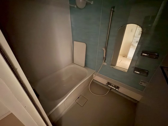 サンセベリア幸