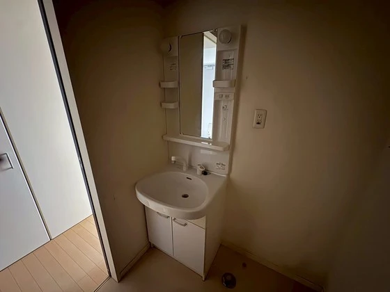 サンセベリア幸