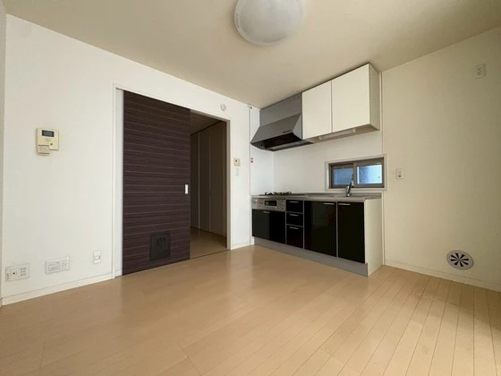 サンセベリア幸