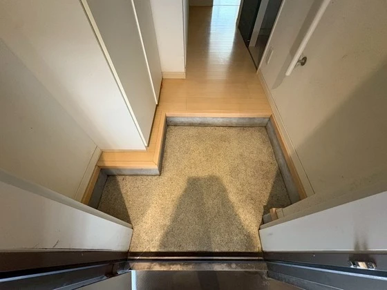 サンセベリア幸