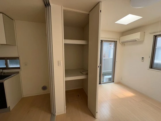 サンセベリア幸