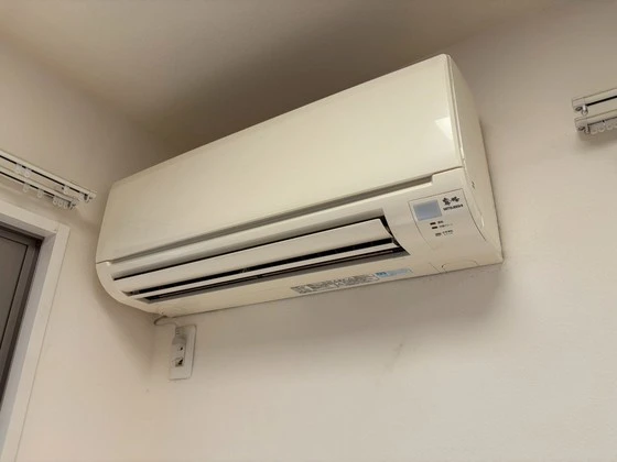 サンセベリア幸