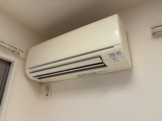 サンセベリア幸