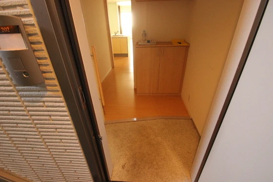 サンセベリア幸