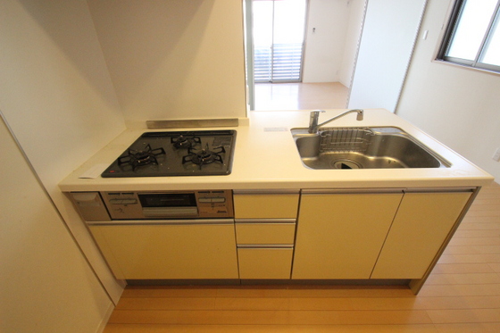 サンセベリア幸