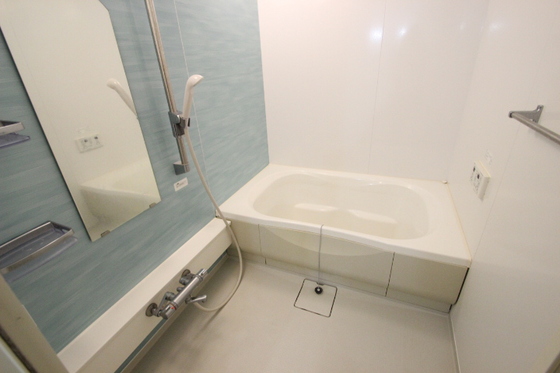 サンセベリア幸