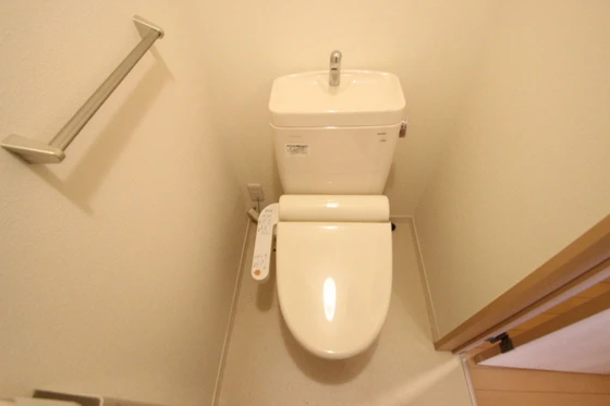 サンセベリア幸