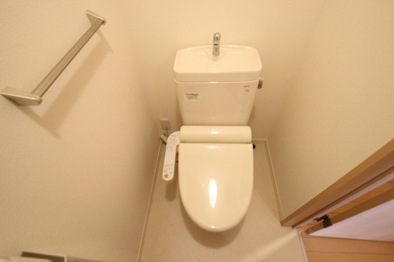 サンセベリア幸