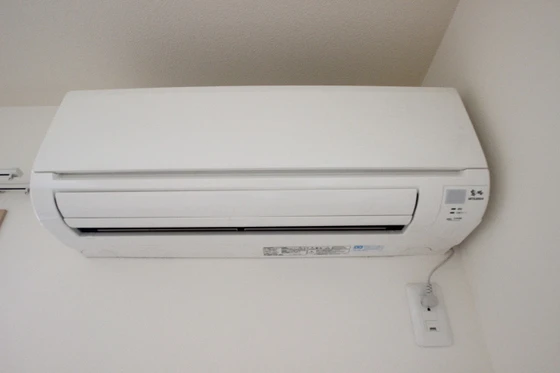 サンセベリア幸