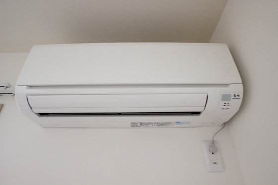 サンセベリア幸