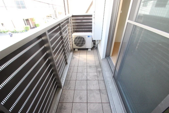 サンセベリア幸