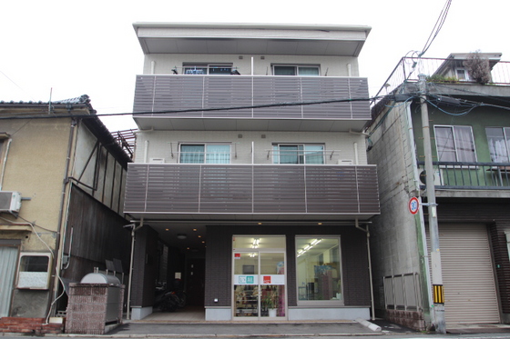 サンセベリア幸