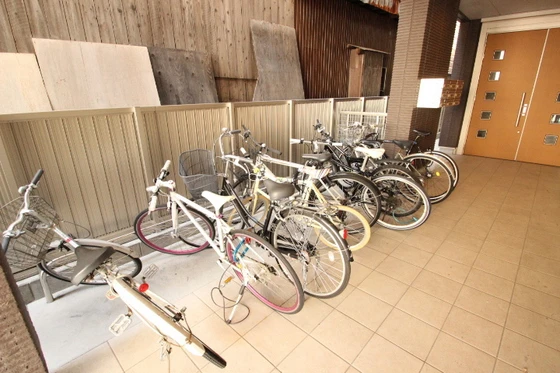 サンセベリア幸