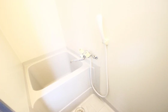 サンフレッチェ