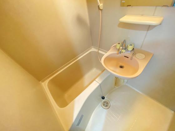 サマックスセシオン