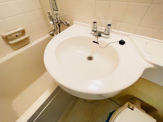 ダイアパレス横川公園