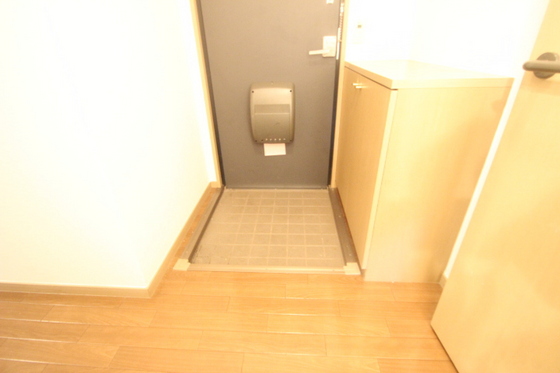 ヴィラ・ハナミズキ B