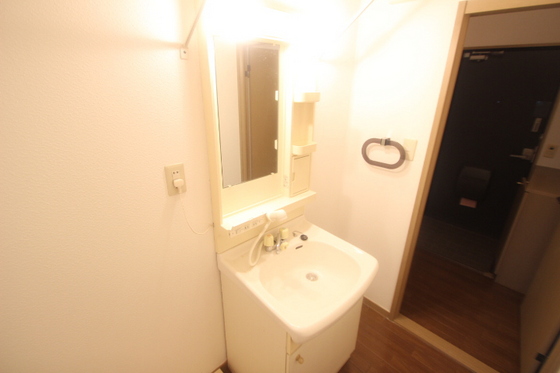 ヴィラ・ハナミズキ B