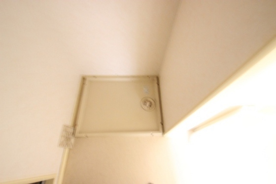 エターナル皆実