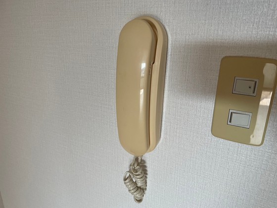 グリーンゼファー