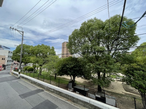 パークサイド・アイ