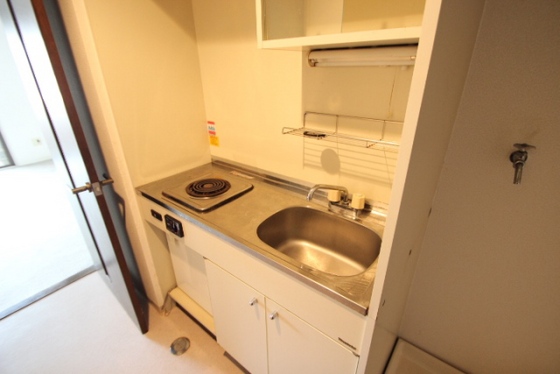 ダイアパレスグランドール四番街大手町