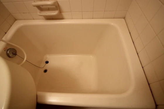 ダイアパレスグランドール四番街大手町