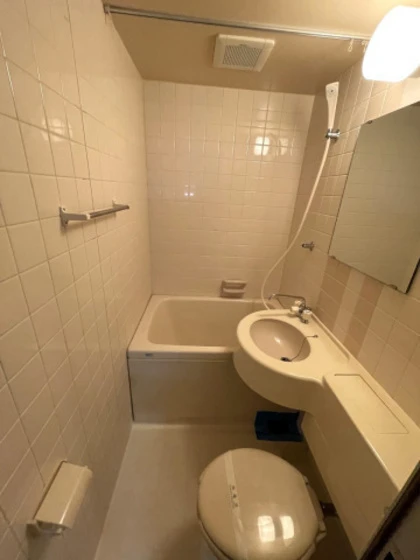 ダイアパレスグランドール四番街大手町