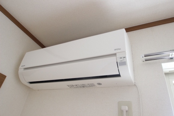 プリュジュール ジャン