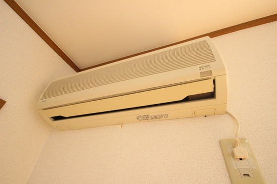 プリュジュール ジャン