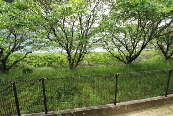 アルカディア高井