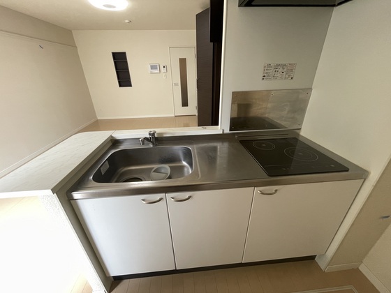 レオネクストソシアル