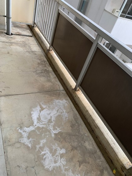 レジデンス木野川