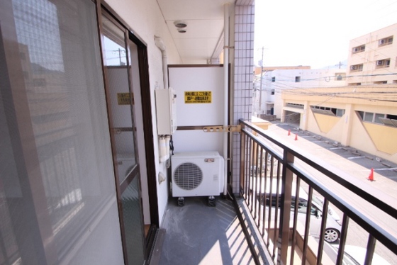 プルニエ長束Ⅱ