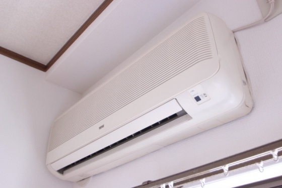 プルニエ長束Ⅱ