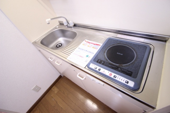 プルニエ長束Ⅱ