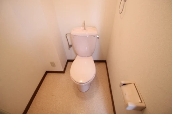 プルニエ長束Ⅱ