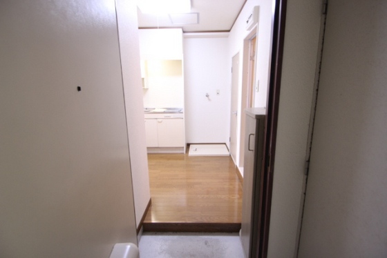 プルニエ長束Ⅱ