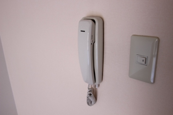 プルニエ長束Ⅱ