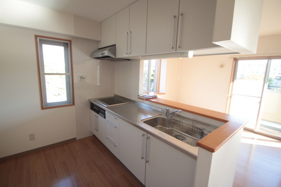 パークステージD