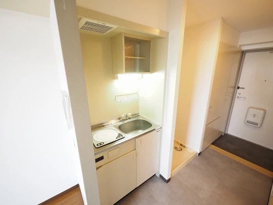 プレディアスタイル観音